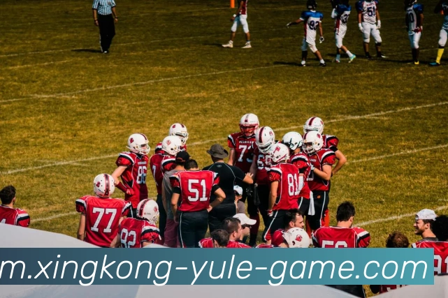 App Interface Preview