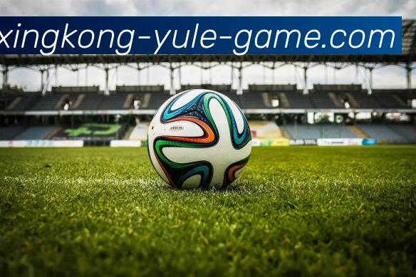 星空体育APP 封面图